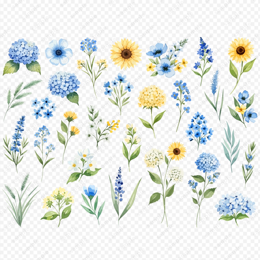 【透過素材】夏の季節の草花の水彩イラスト素材 / 約150パターン