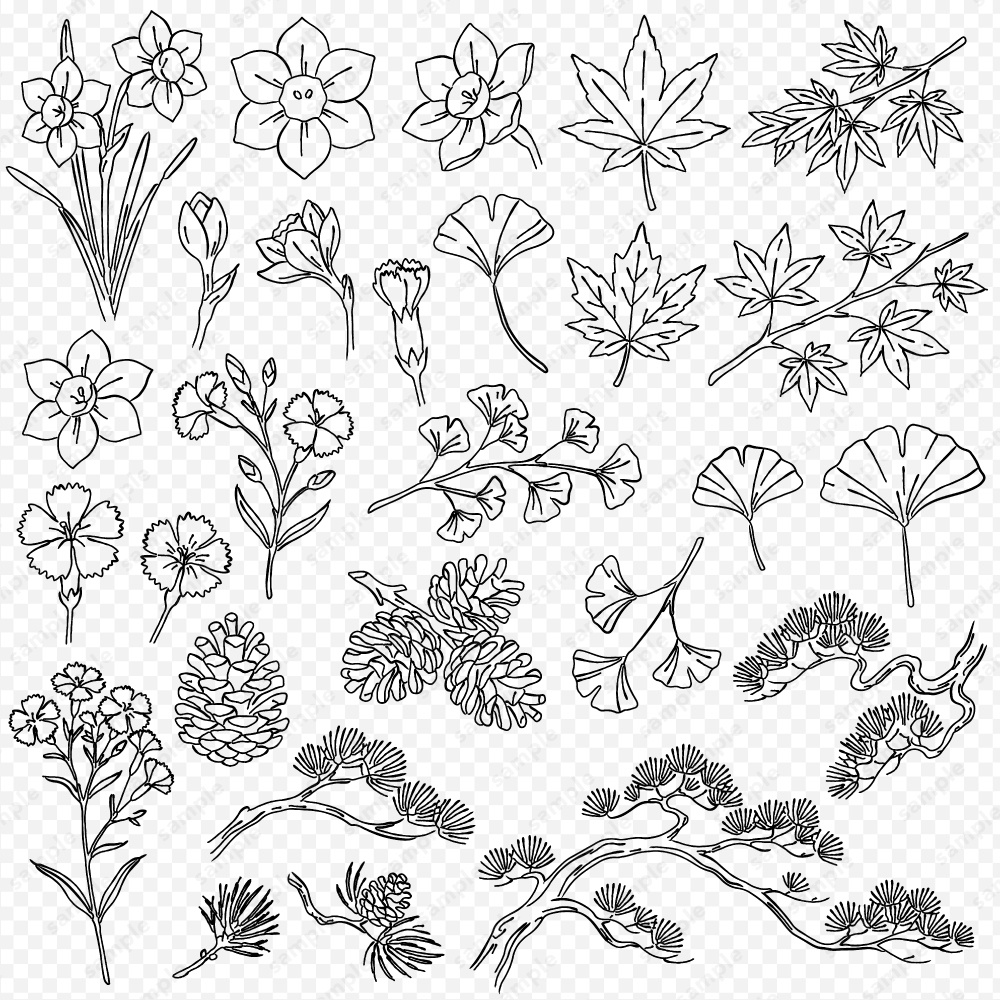【透過素材】日本の四季を彩る花草ラインアート | 秋冬 | 約240パターン