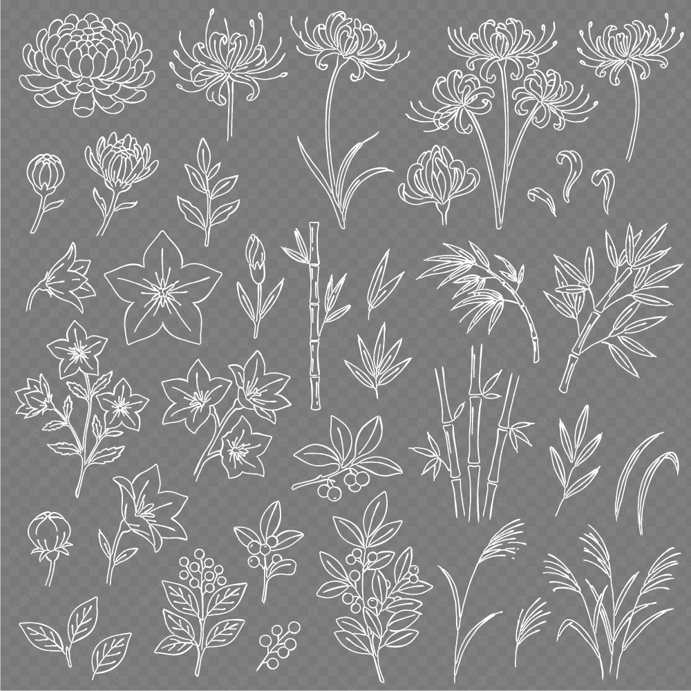 【透過素材】日本の四季を彩る花草ラインアート | 秋冬 | 約240パターン
