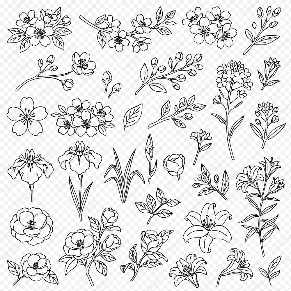 【透過素材】日本の四季を彩る花草ラインアート | 春夏 | 約230パターン