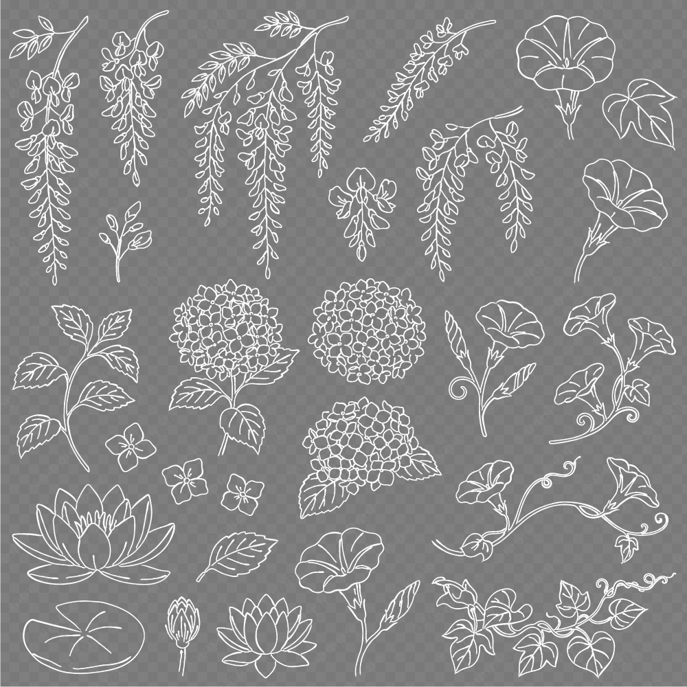 【透過素材】日本の四季を彩る花草ラインアート | 春夏 | 約230パターン
