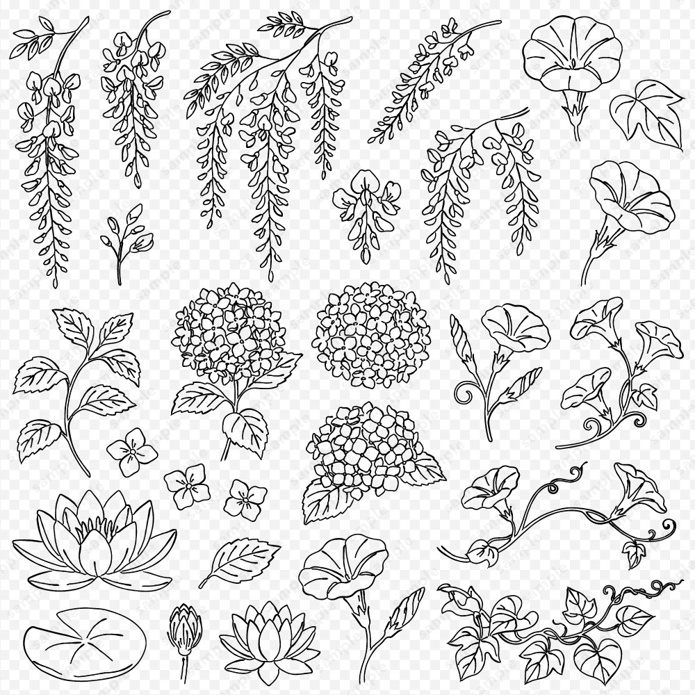 【透過素材】日本の四季を彩る花草ラインアート | 春夏 | 約230パターン