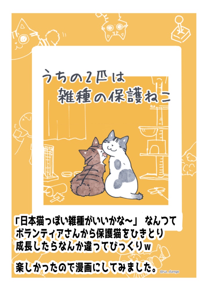 うちの2匹は雑種の保護ねこ