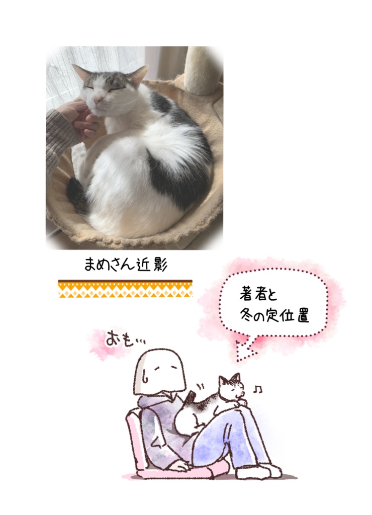 ねこが難病で400万円かかったはなし (2/22~25まで猫の日SALE)