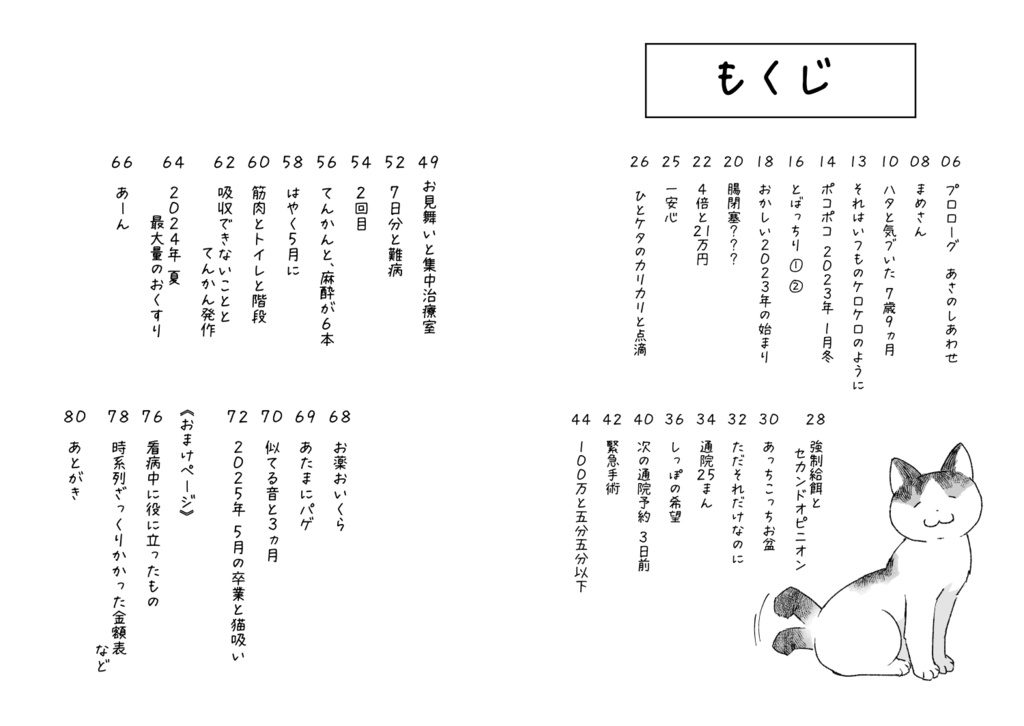 ねこが難病で400万円かかったはなし (2/22~25まで猫の日SALE)