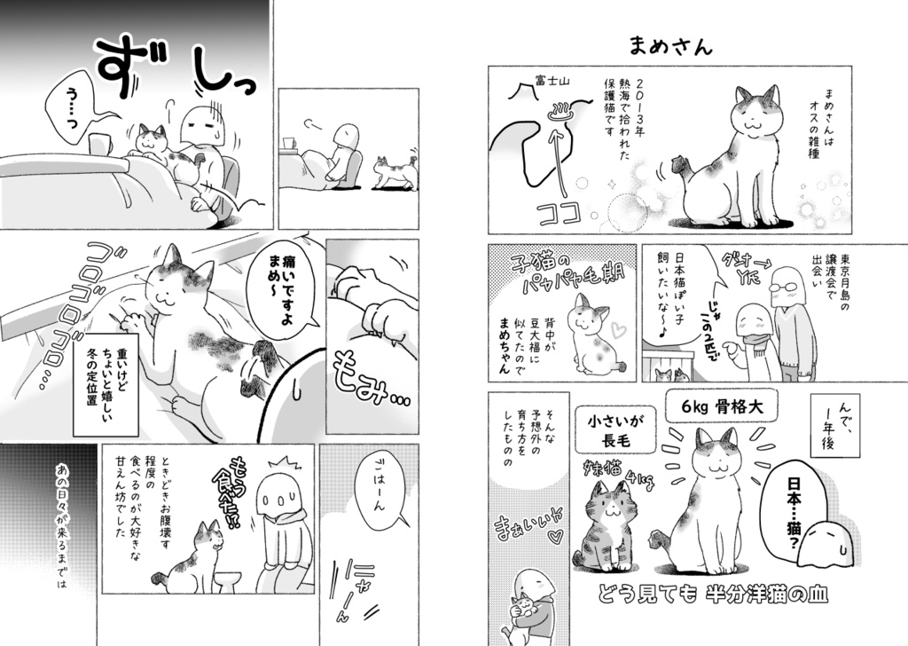 ねこが難病で400万円かかったはなし (2/22~25まで猫の日SALE)