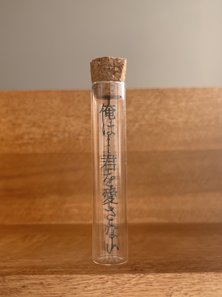 【囚われのパルマR】彼のことばのびんづめ「俺は…君を愛さない」