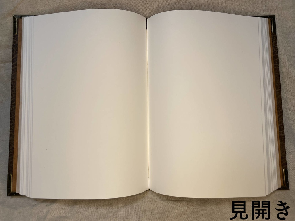 革装丁本シリーズ