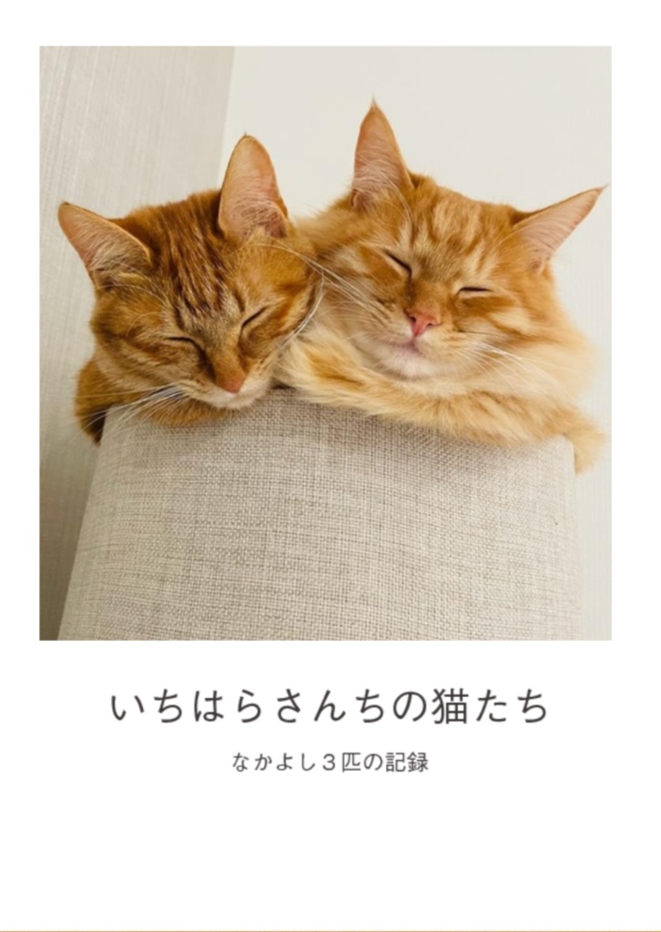 いちはらさんちの猫たち