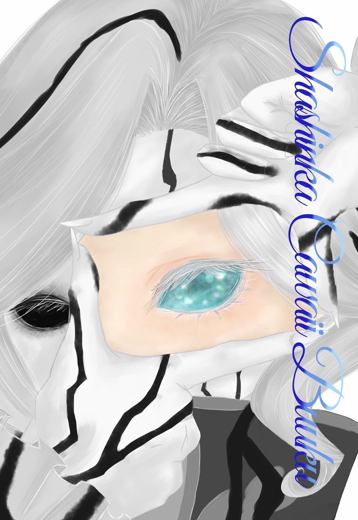 [匿名発送]Shashinka Cawaii Bukku (写写)