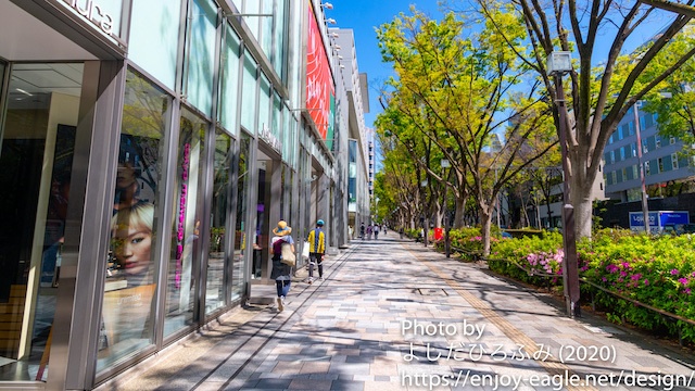 Web会議用背景写真（表参道ヒルズ前）