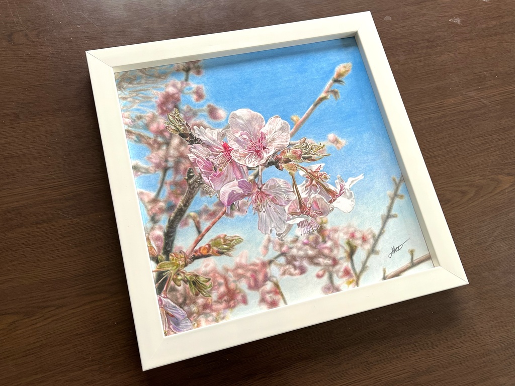 色鉛筆画『桜』