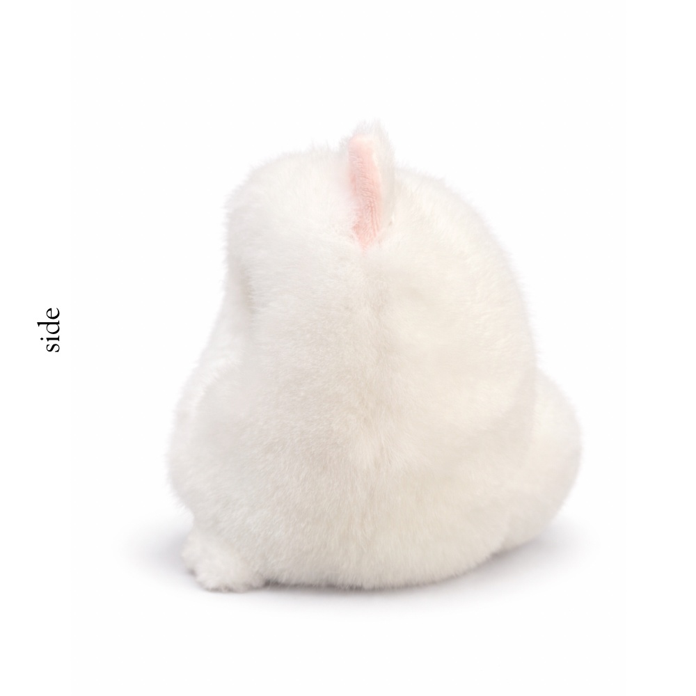 ぬい服|ポメラニアンの着ぐるみ タイプC(10cm/ぱぺ)