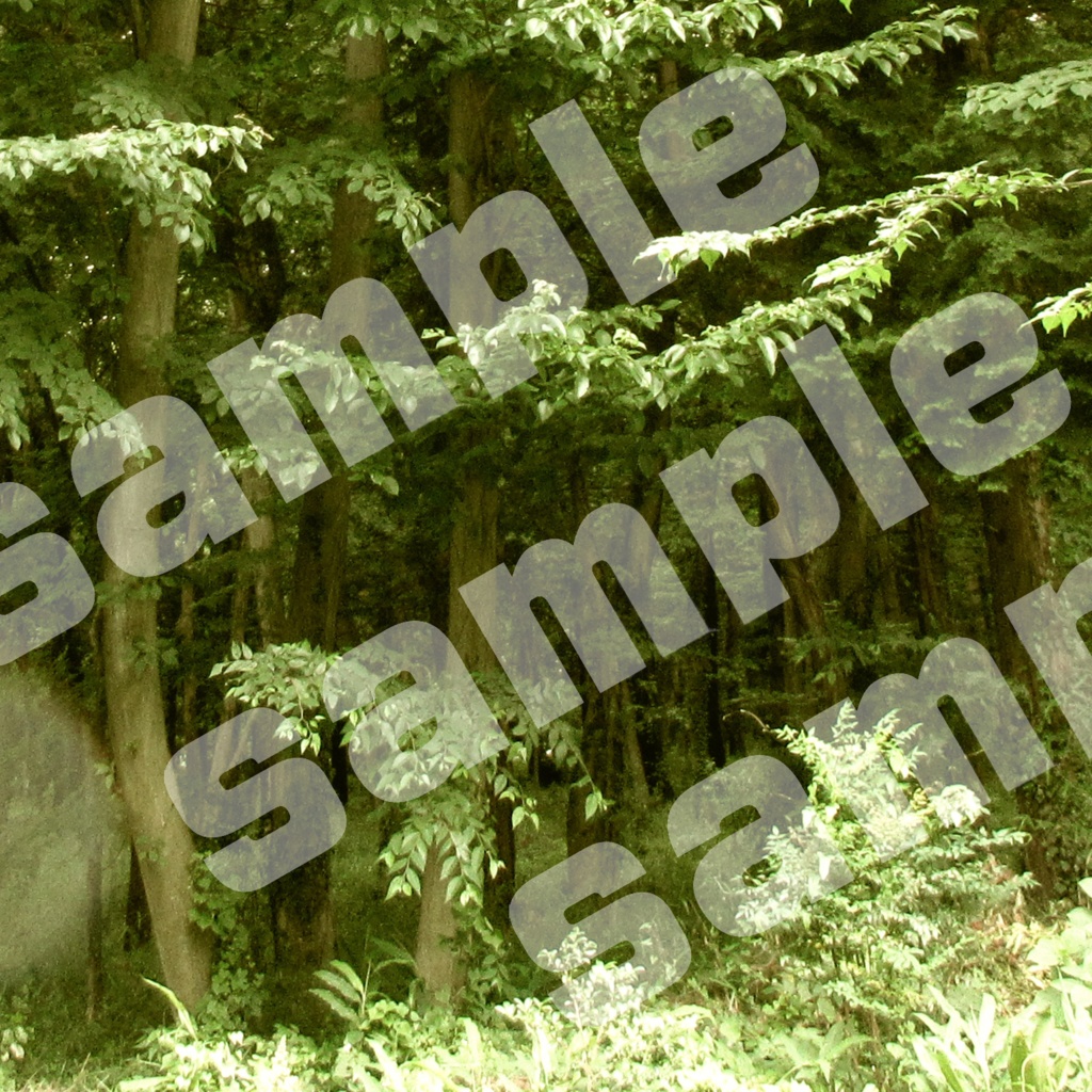 写真、3Dレンダリング画像、イラスト素材詰め合わせ