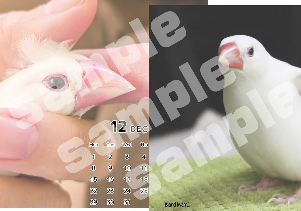 シロ文鳥カレンダー2025