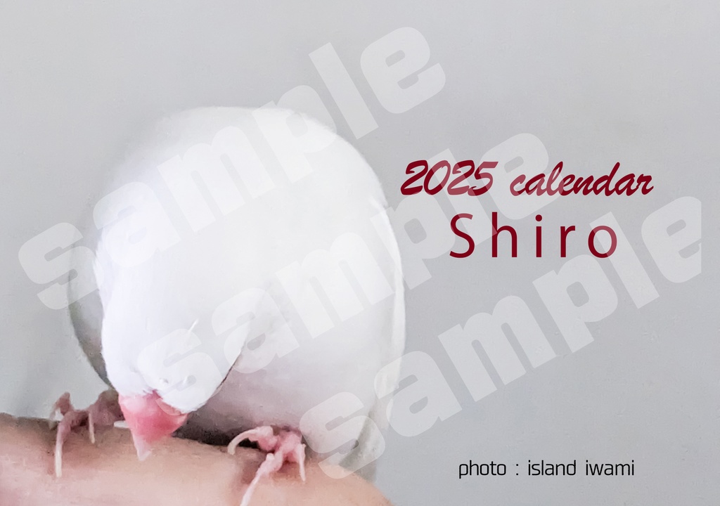 シロ文鳥カレンダー2025