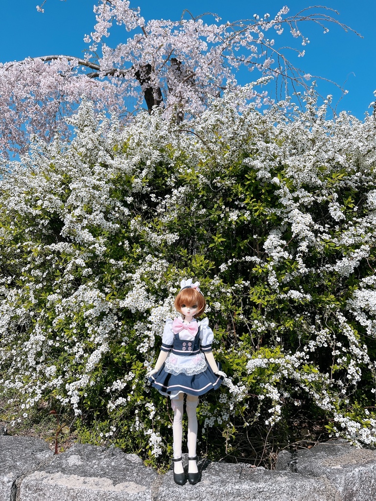 有名メイド喫茶店のメイド服8点セット