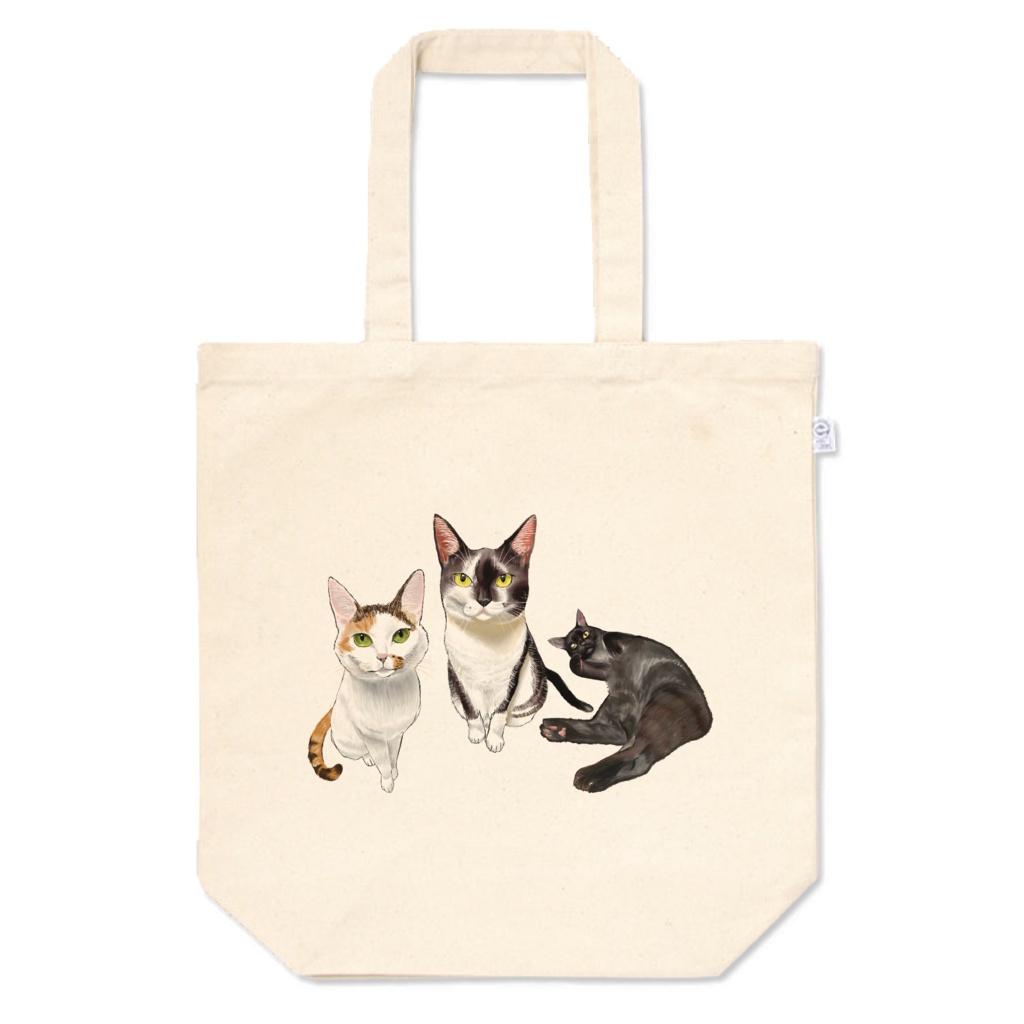 3匹の猫たち