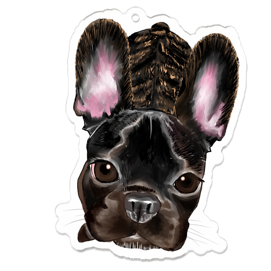 ブリンドルのフレンチブルドッグ