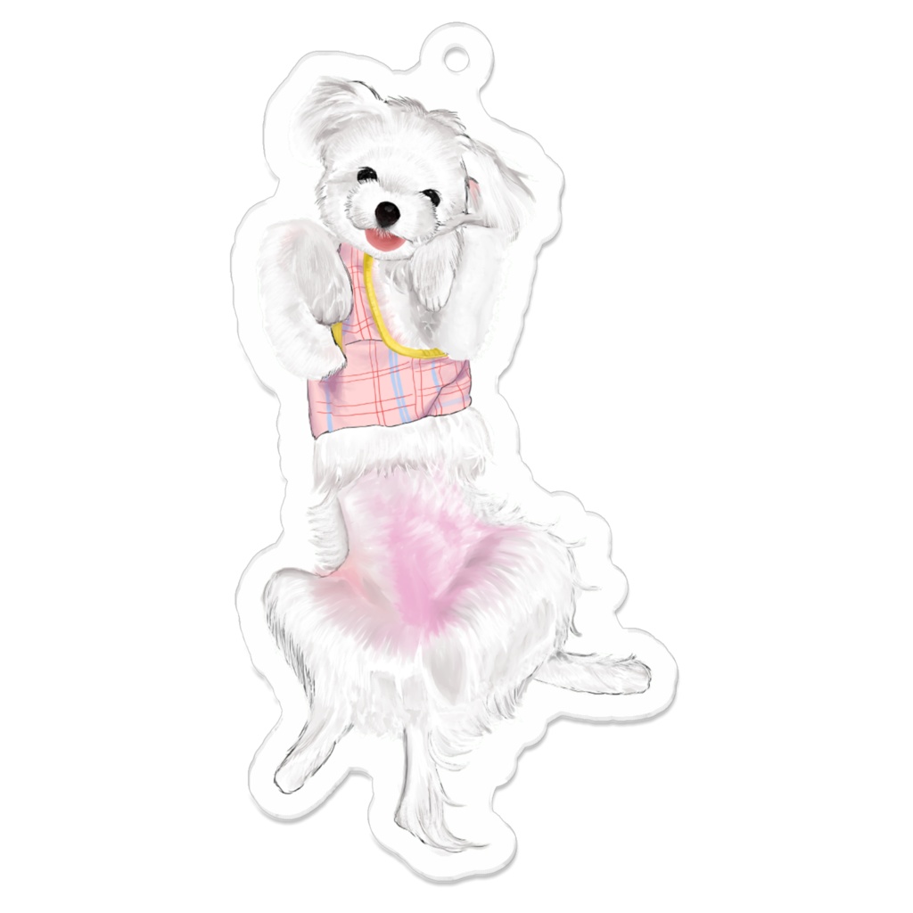 マルチーズのあざとポーズ