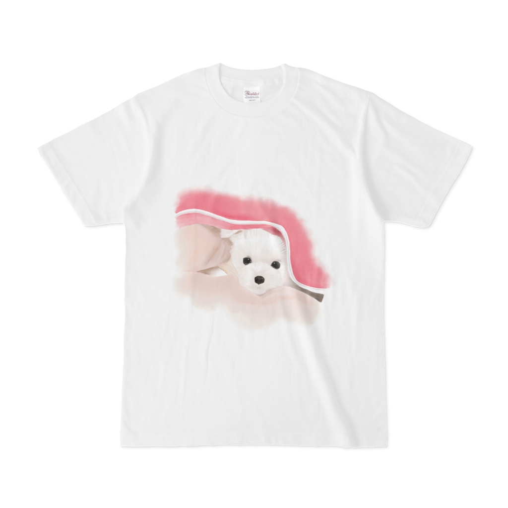 ブランケットからのぞく犬2