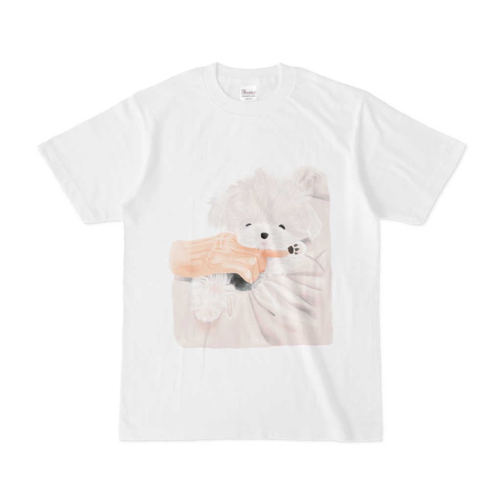 腕に抱かれるマルチーズ