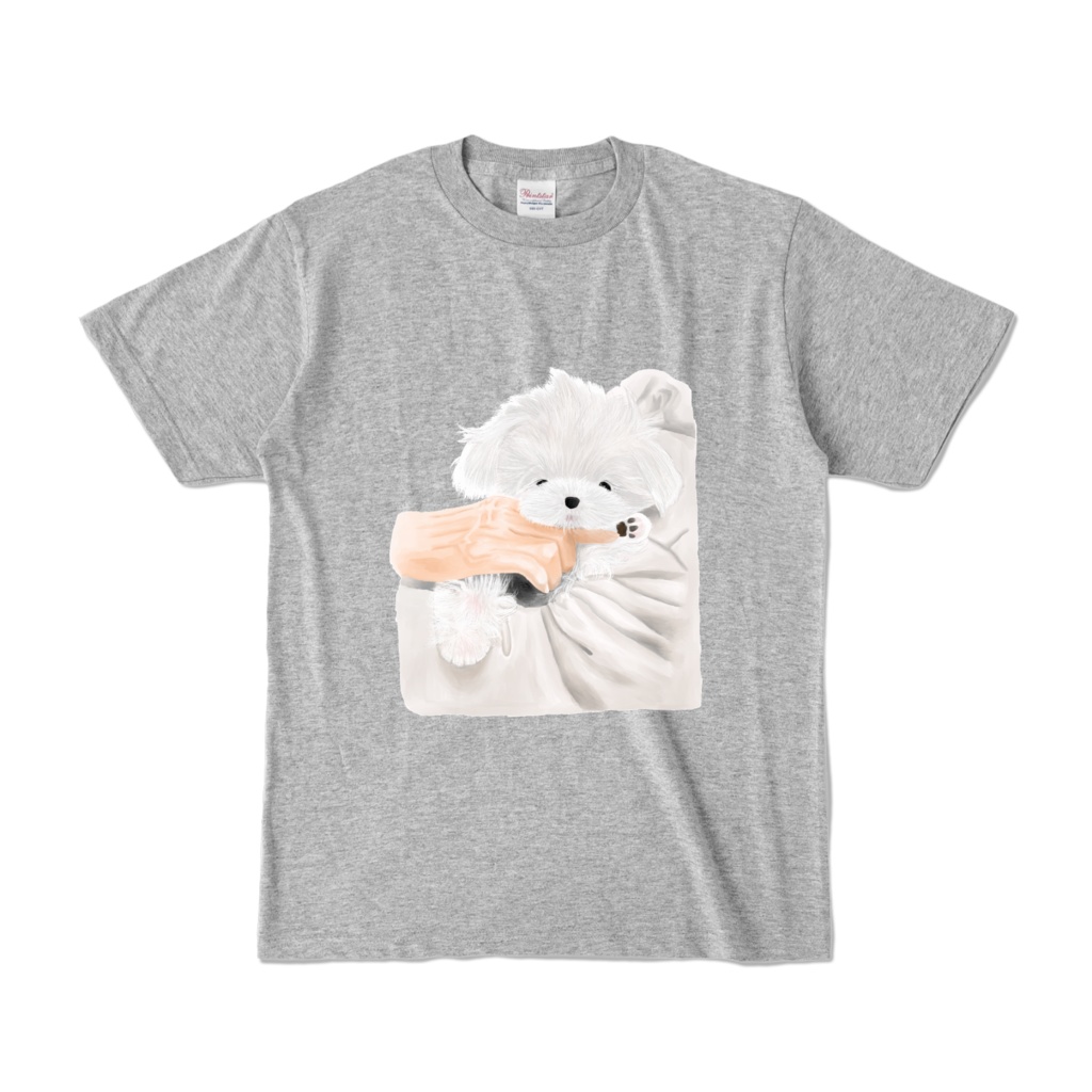 腕に抱かれるマルチーズ