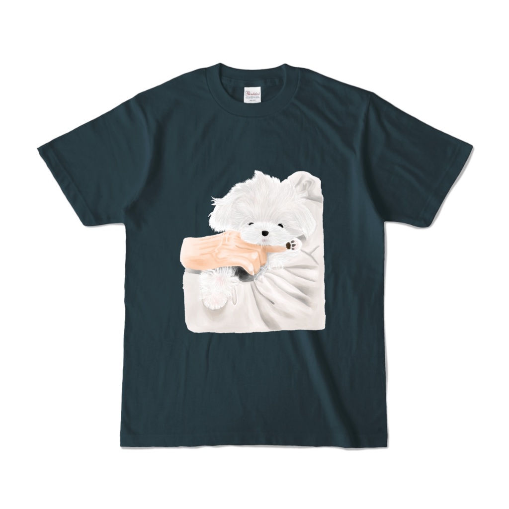 腕に抱かれるマルチーズ