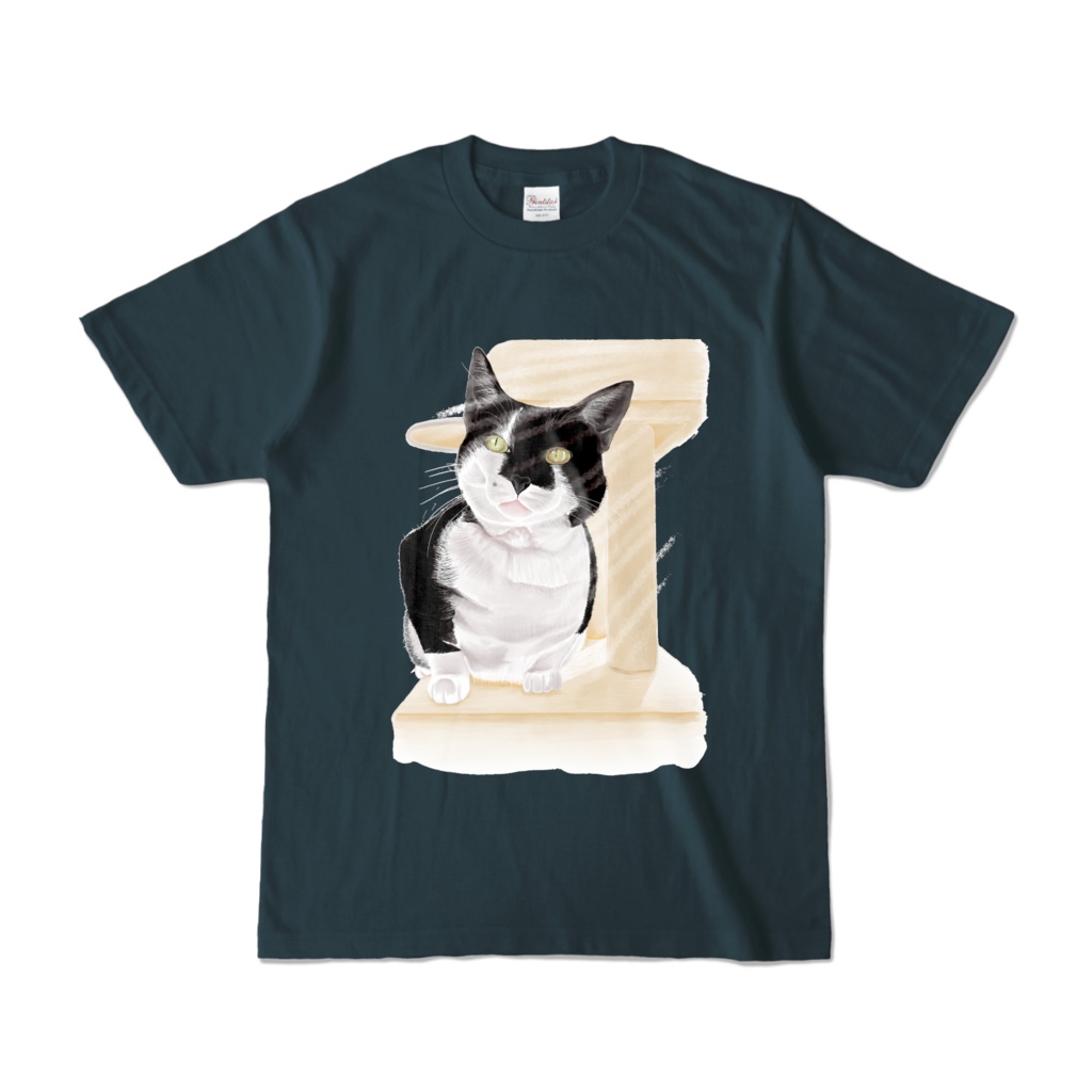 キャットタワーからのぞく猫