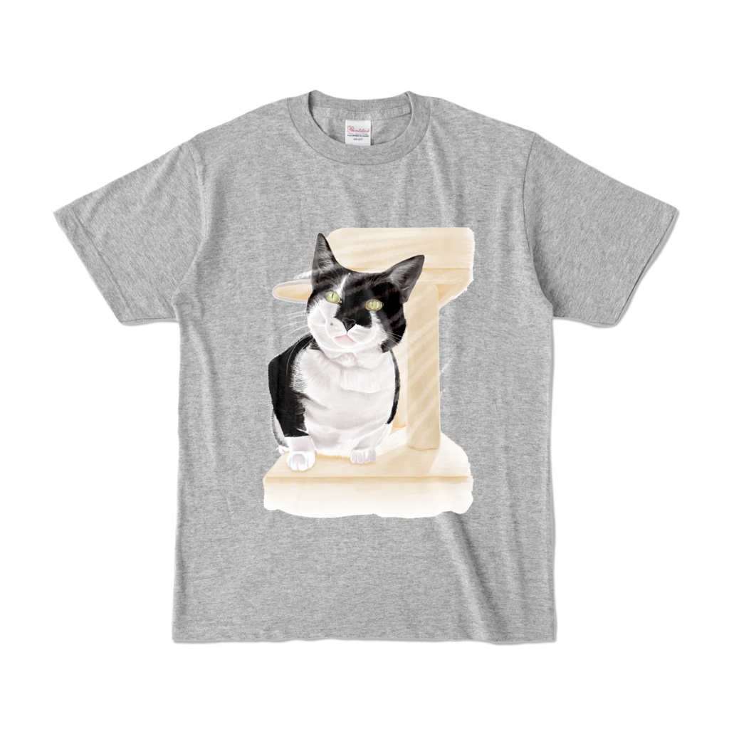 キャットタワーからのぞく猫