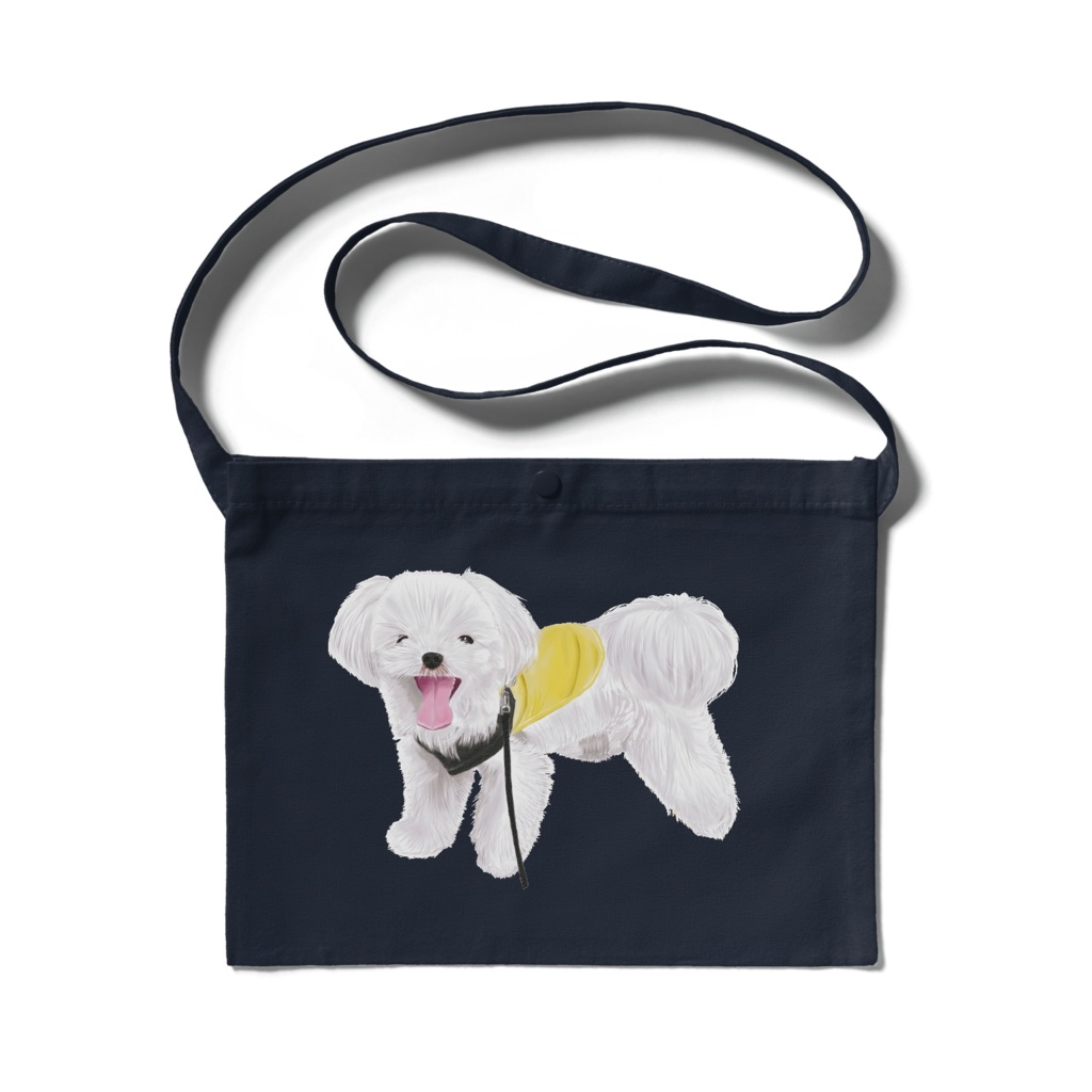 遊び盛りのマルチーズ