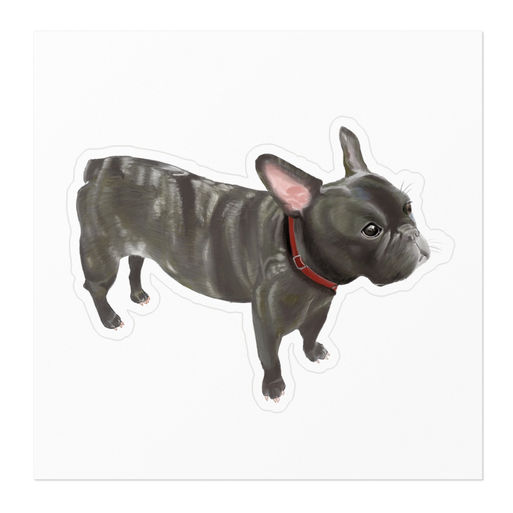 どこかを見つめるフレンチブルドック