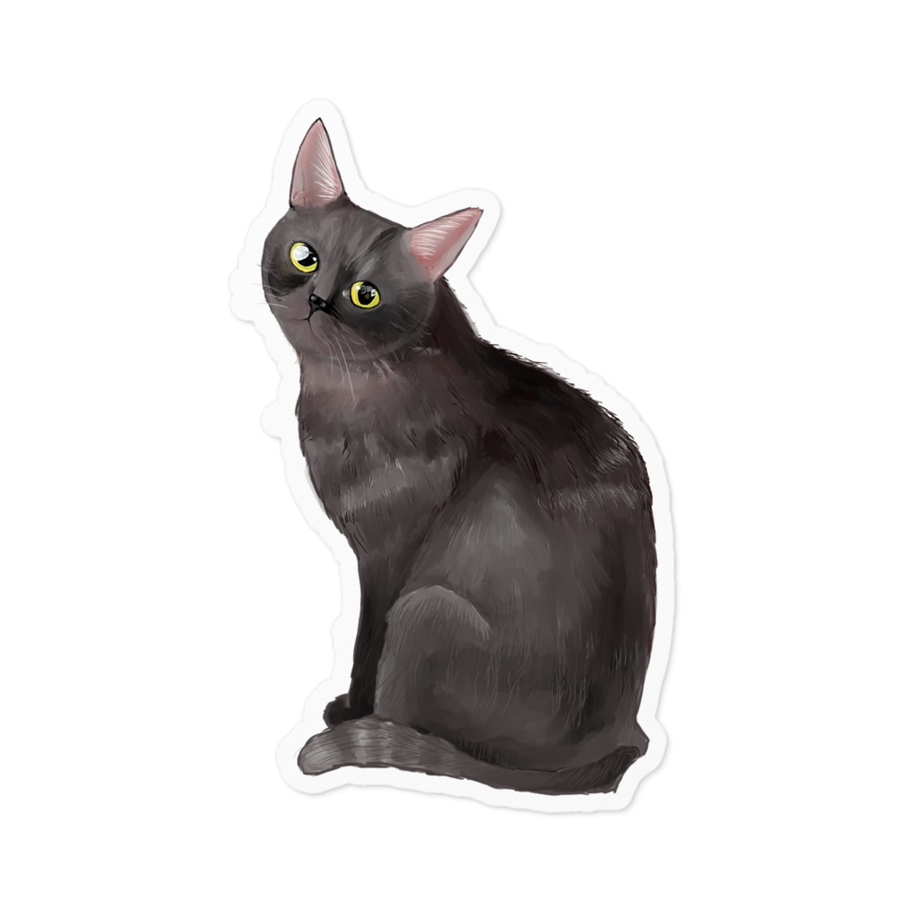 見つめる黒猫