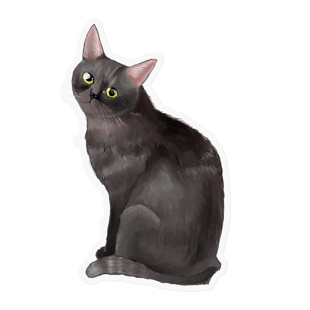 見つめる黒猫
