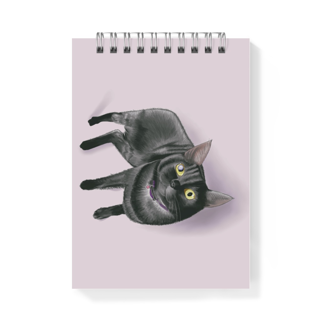 上を向く猫