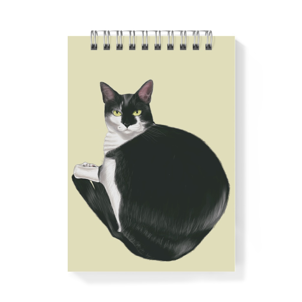 振り返る白黒猫