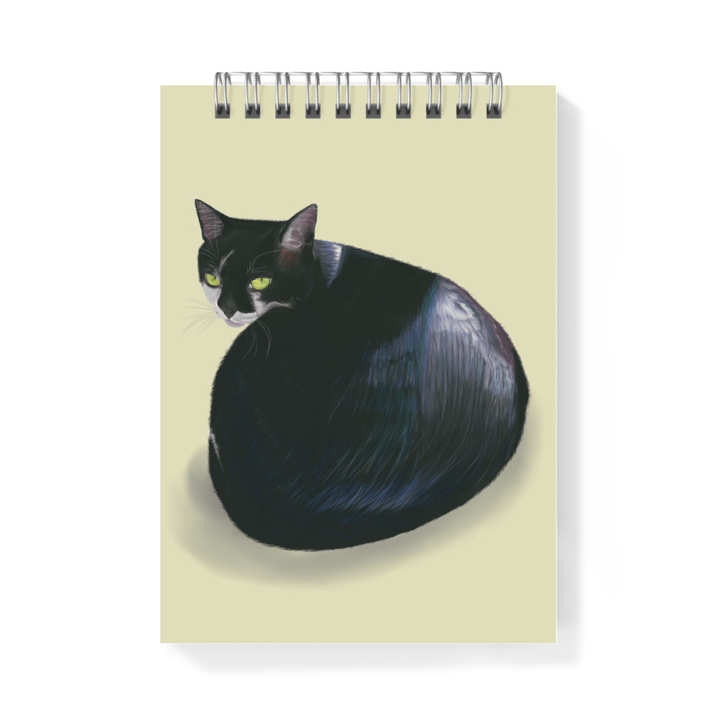 振り返る白黒猫