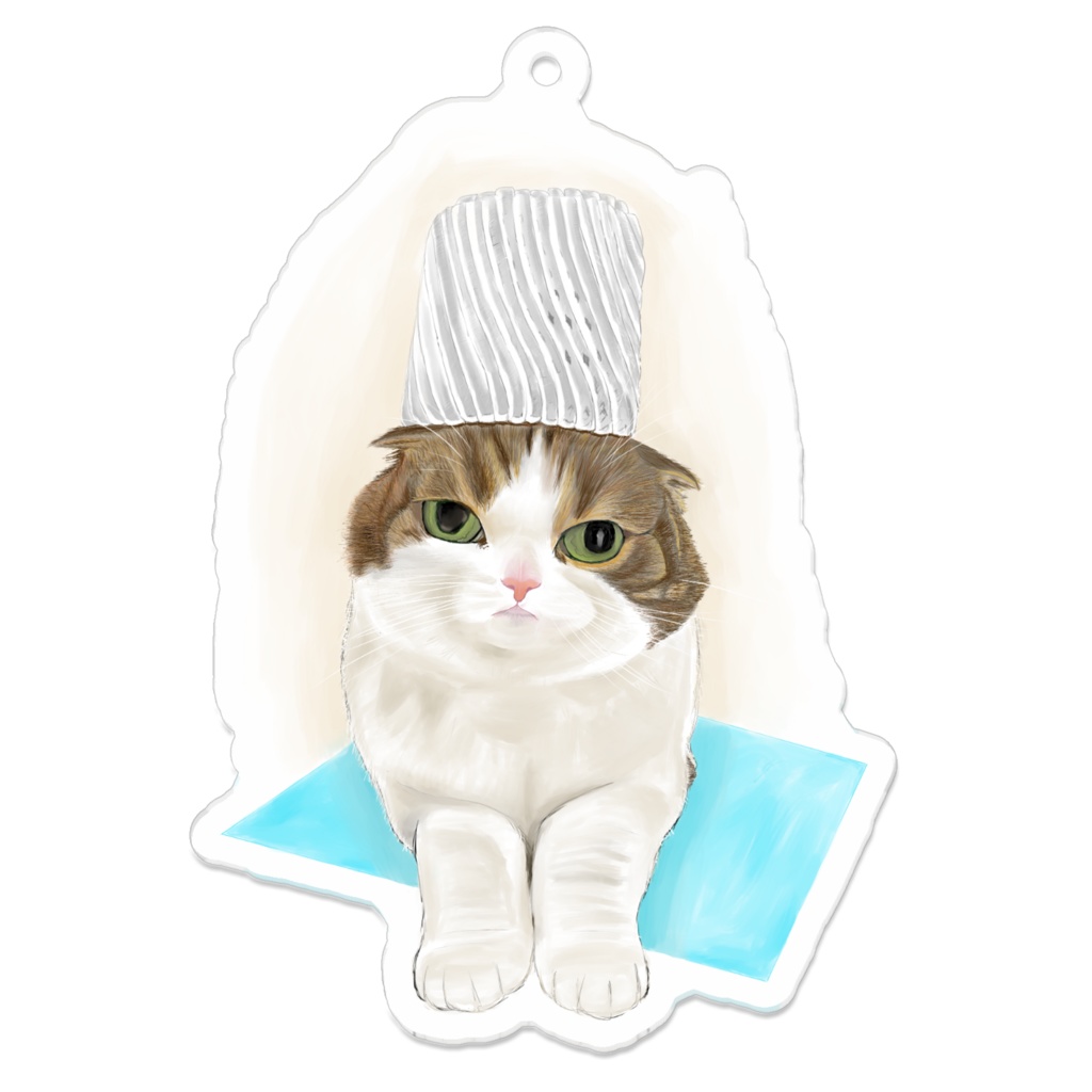 猫に帽子