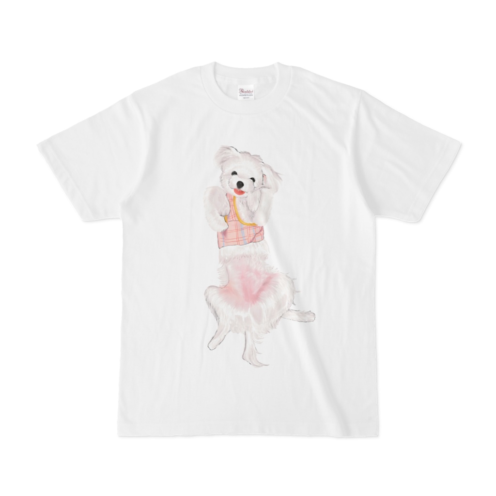 あざといマルチーズ 白