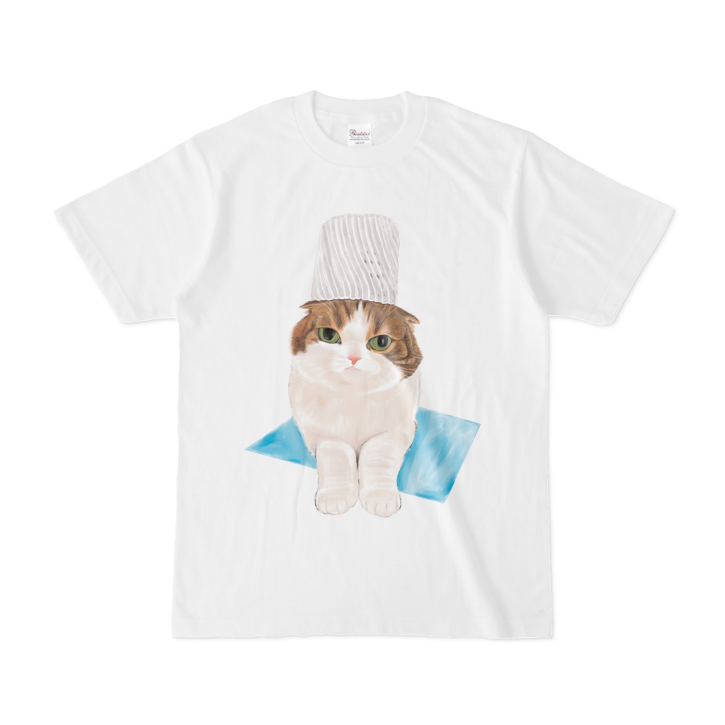  フルーツネットを乗せる猫