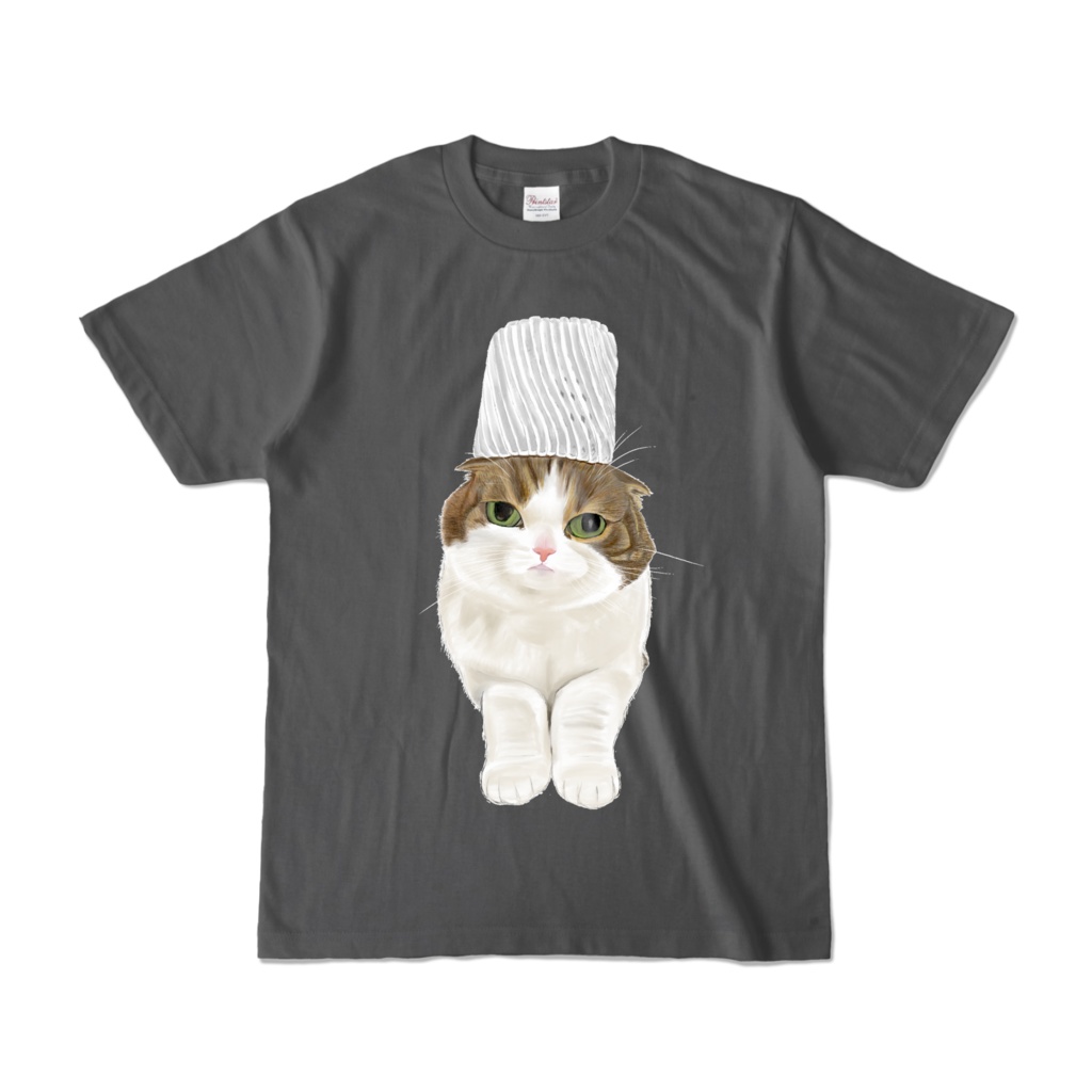 フルーツネットを乗せた猫。マットなし