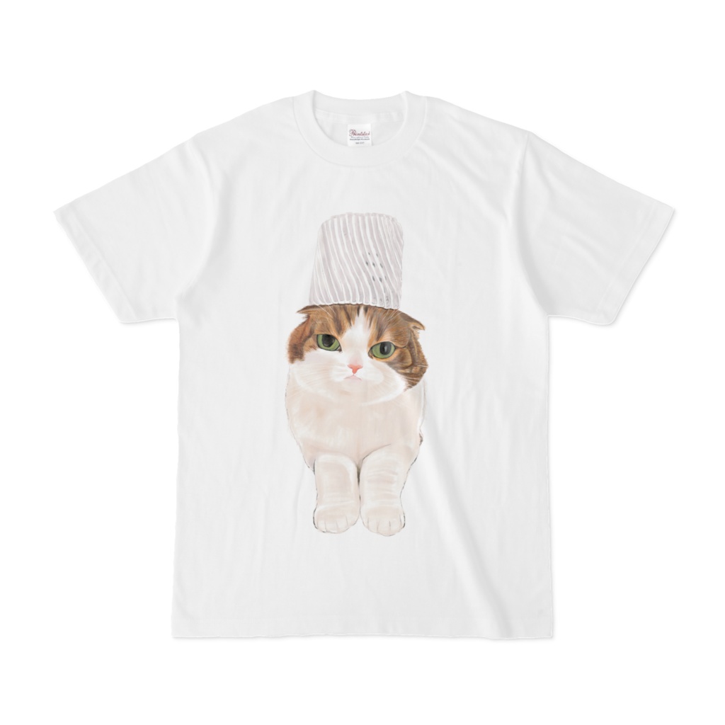フルーツネットを乗せた猫。マットなし