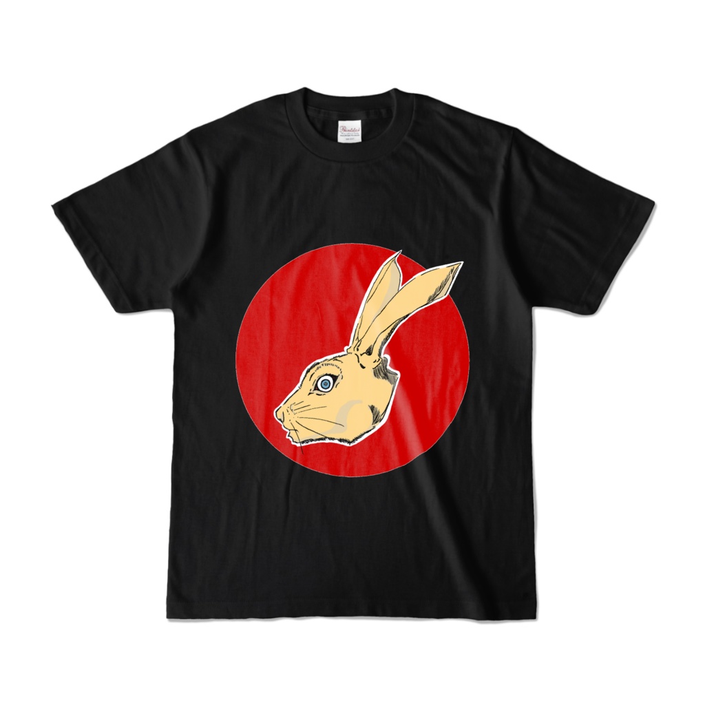 韋駄天ウサ惨状