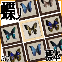 【3D】蝶ノ標本