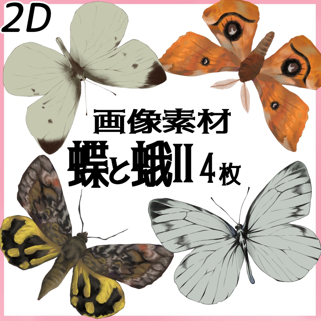 蝶と蛾Ⅱ