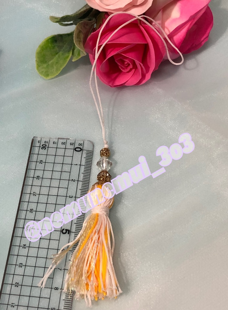 イメージタッセル: カリム@フェアリーガラの衣装