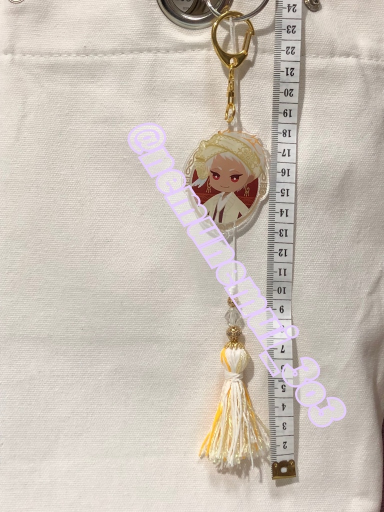 イメージタッセル: カリム@フェアリーガラの衣装