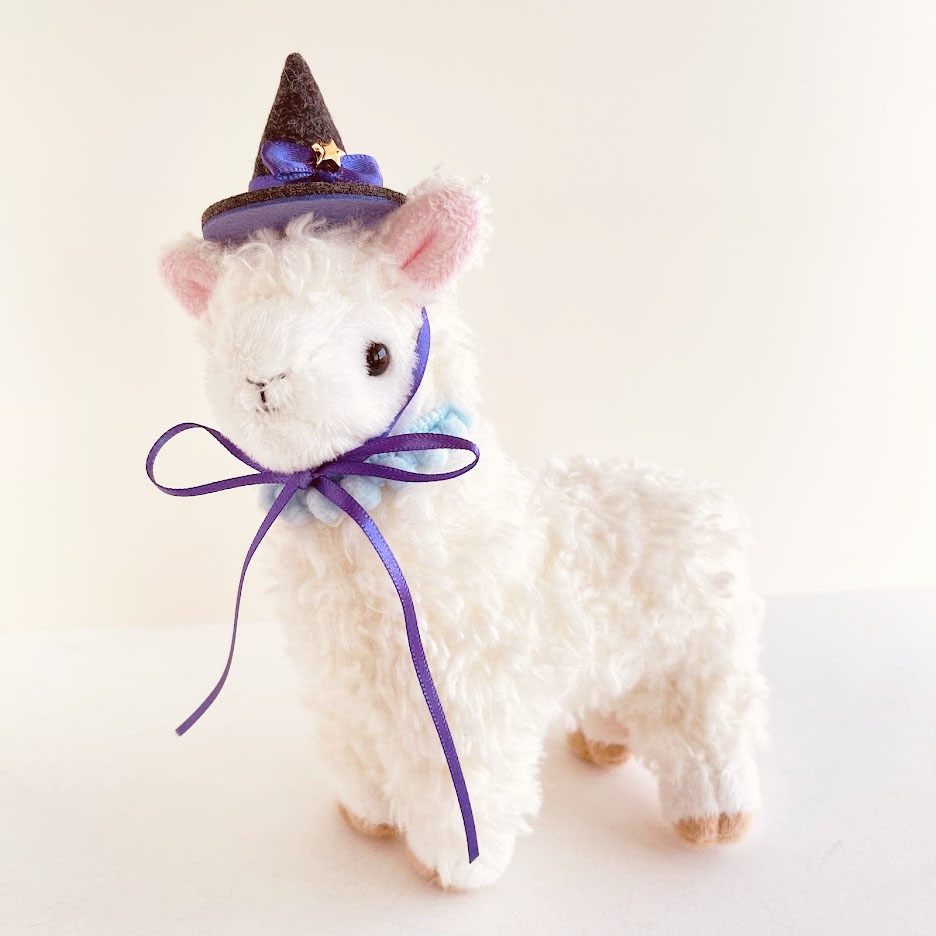 ドール*魔女のぼうし