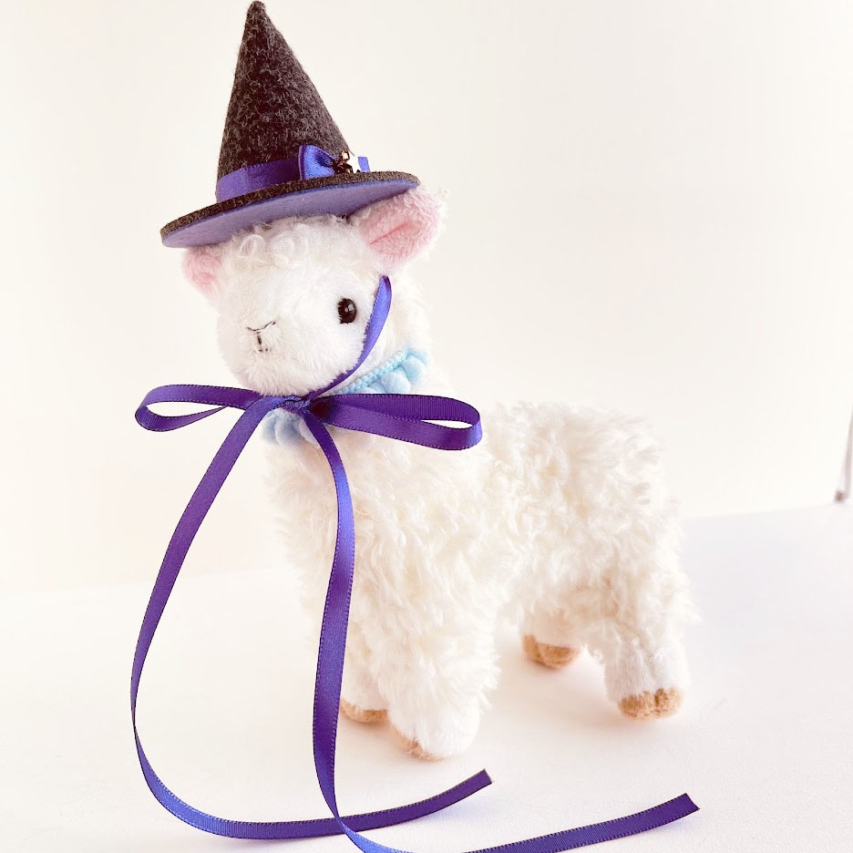 ドール*魔女のぼうし