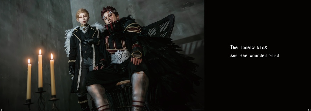 The lonely king and the wounded bird